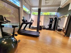 Angullia Park Residences @ Orchard (D10), Apartment #573492091